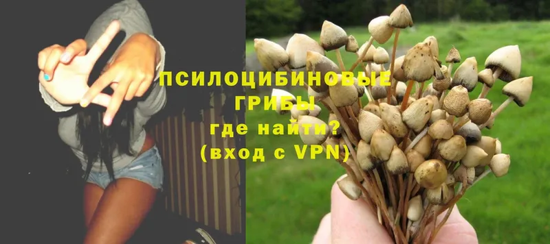 Галлюциногенные грибы MAGIC MUSHROOMS  магазин    Зерноград 