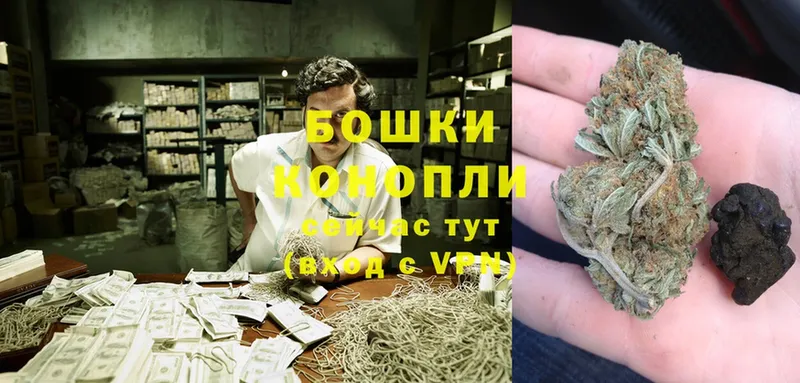 нарко площадка официальный сайт  Зерноград  Бошки марихуана SATIVA & INDICA  как найти закладки 